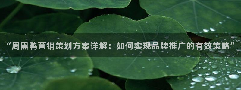 必赢网址手机主页打不开