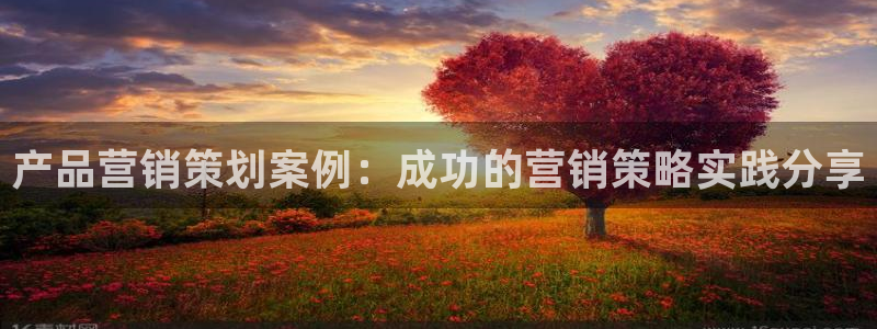 9965必赢游戏app大全