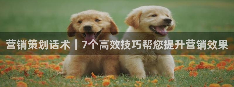 7321必赢安全吗