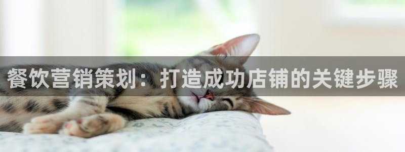 9965必赢苹果下载