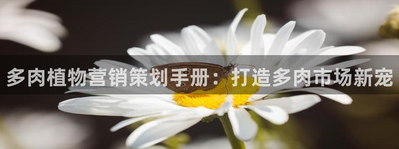 必赢平台网站多少
