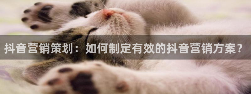 必赢线上网址查询