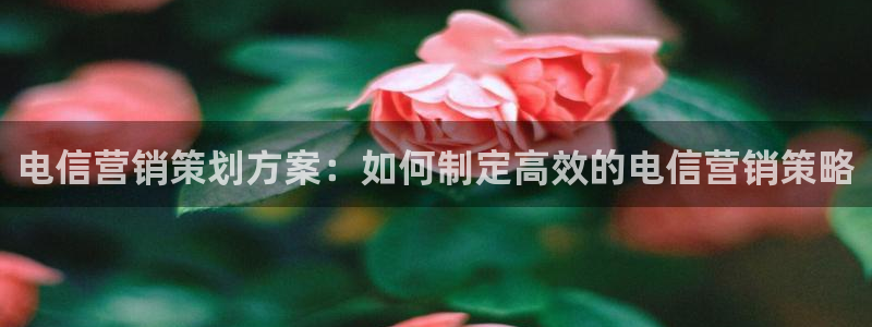 必赢客安卓版