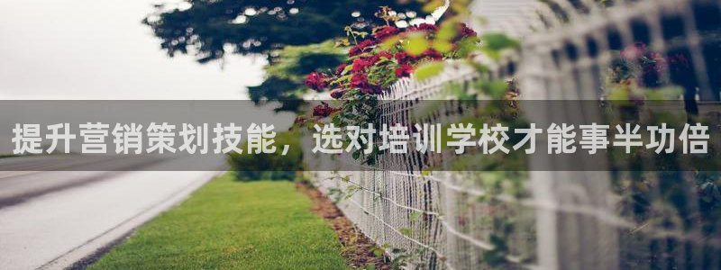 必赢旧网站