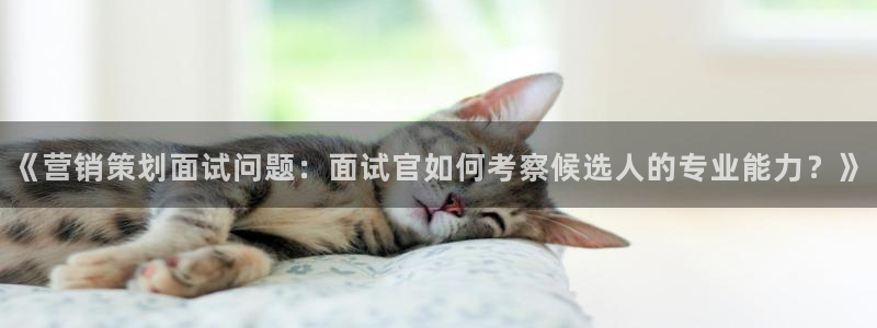 必赢平台官方客服电话