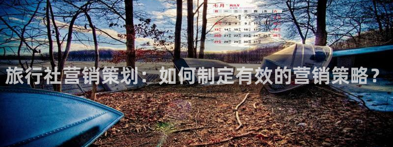 必赢集团网站是什么