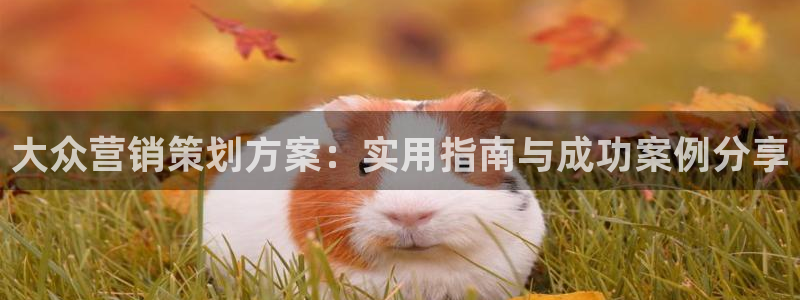 必赢官网网址8873