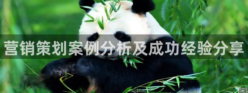 必赢平台怎么样可靠吗