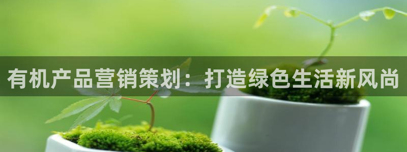 必赢网站进去