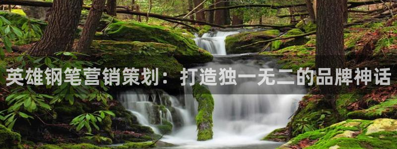 必赢72886网址多少啊