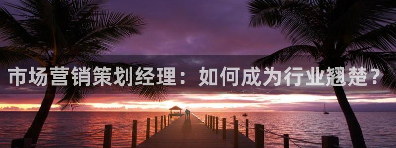 必赢手机app下载安装最新版