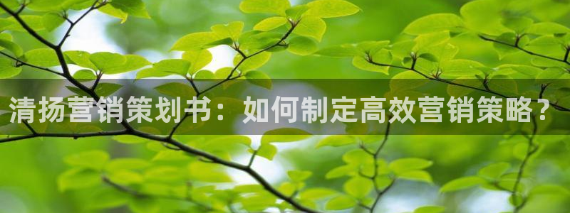 必赢官网入口下载安装
