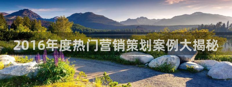 必赢官网app下载安装最新版本