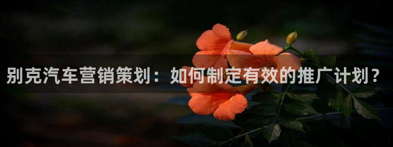 必赢app官方网站