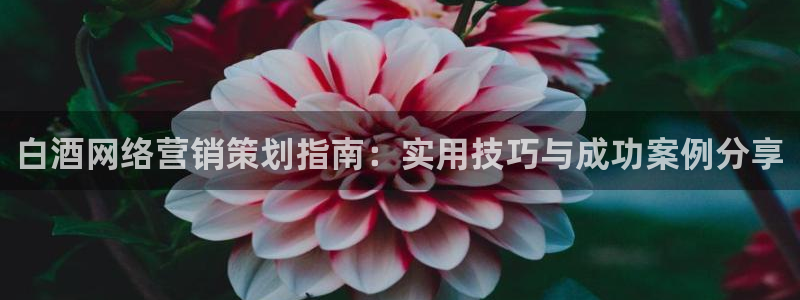 必赢手机app下载最新版本安装