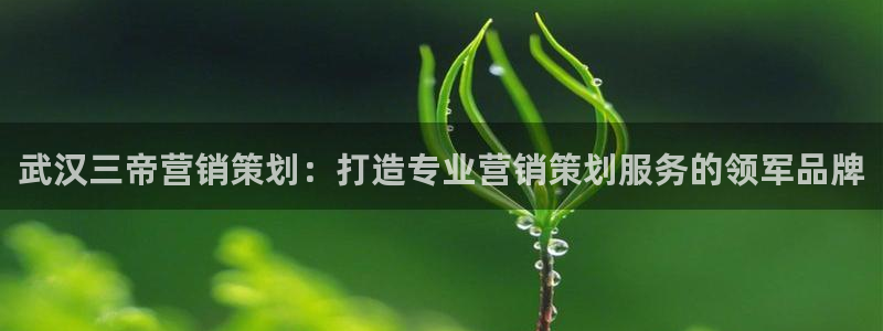 必赢网站充值是真的吗