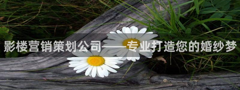 必赢抢红包网址
