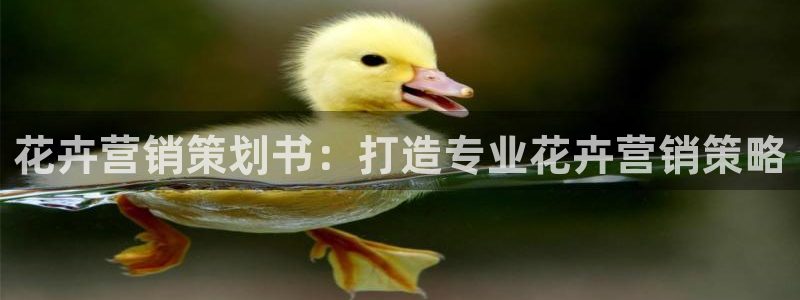 必赢官网app下载安装最新版