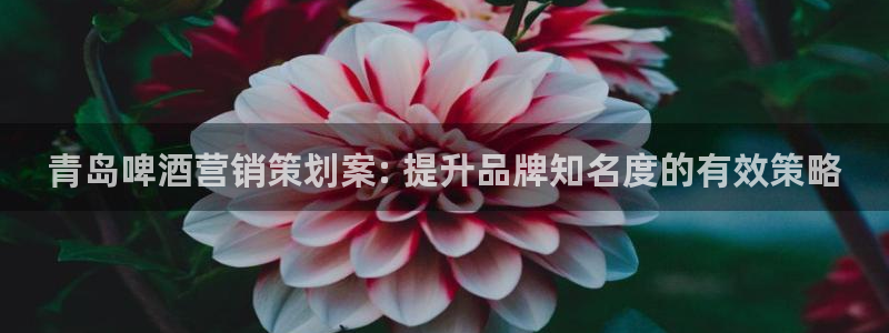 必赢平台官方网址