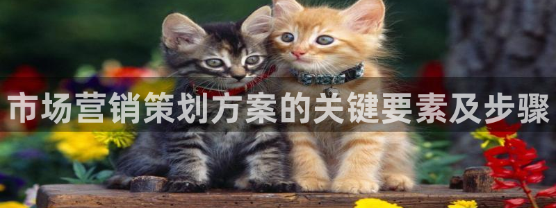 必赢565net官网网站