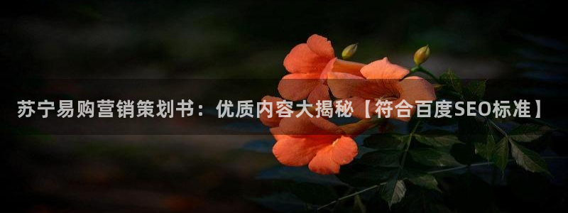 必赢3003网官
