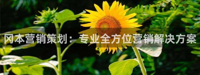 必赢手机app下载最新版安卓苹果可以用吗