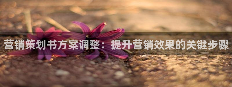 必赢亚赢网站官网下载