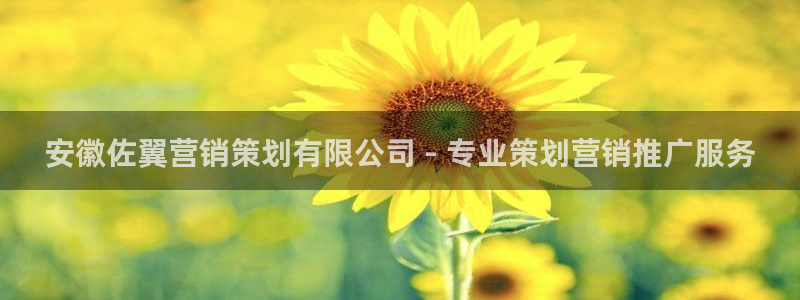 必赢平台怎么样