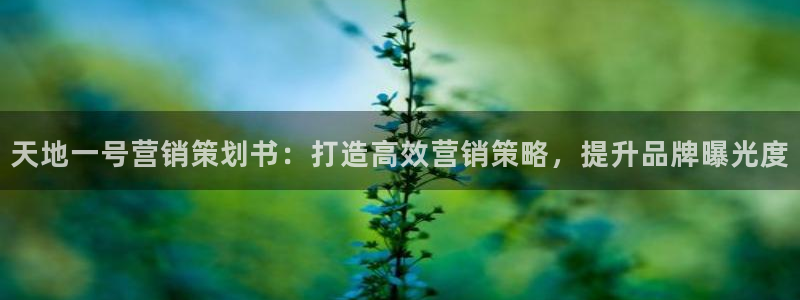 必赢网址谁知道