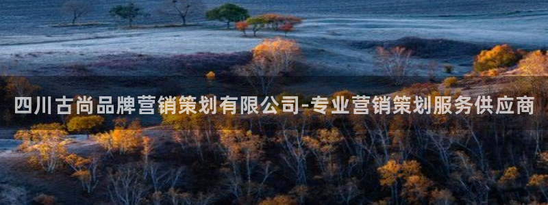 必赢网址手机主页在哪