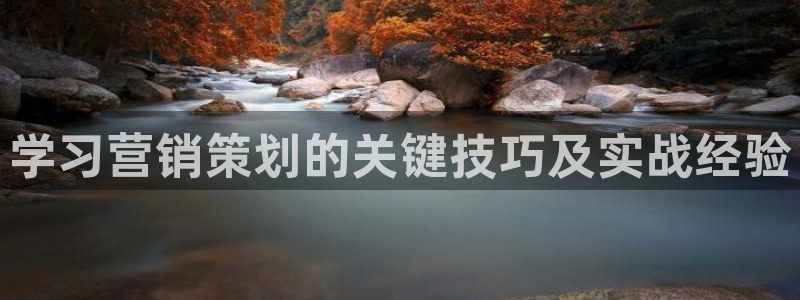必赢国际怎么样
