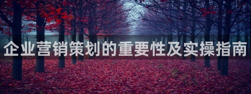 必赢用户登录