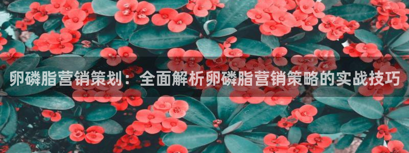 必赢资讯下载