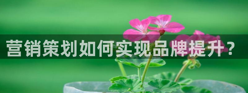 必赢平台官方下载