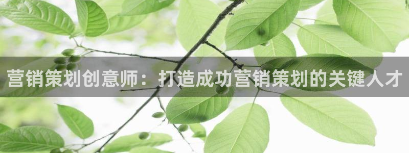 必赢365官方网登录