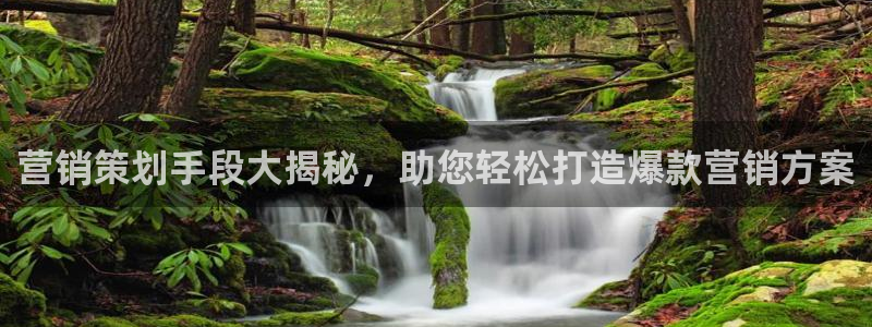必赢棋脾