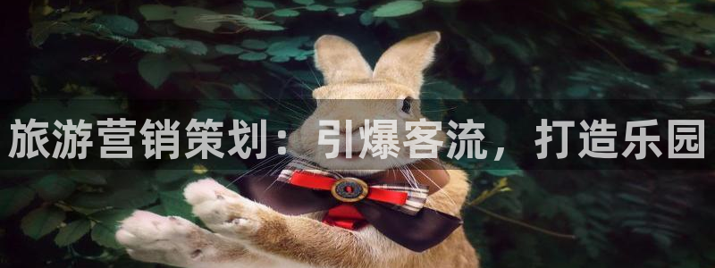必赢网址谁知道是真的