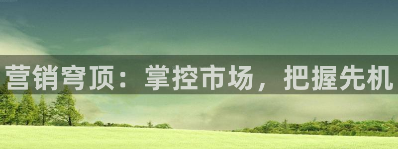 必赢网站是哪一个