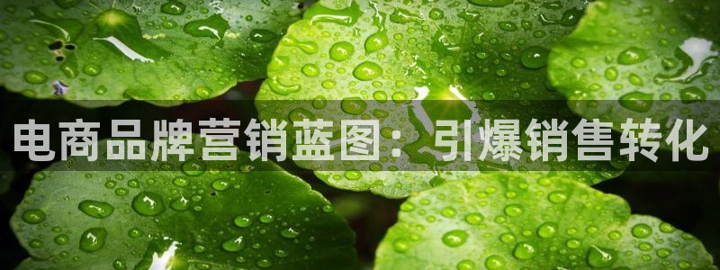 必赢手机app下载最新版本安卓苹果