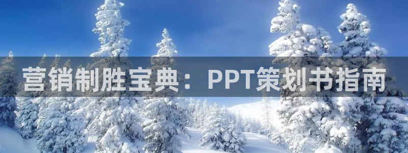 必赢app安卓版下载