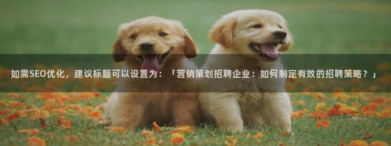 必赢国际437