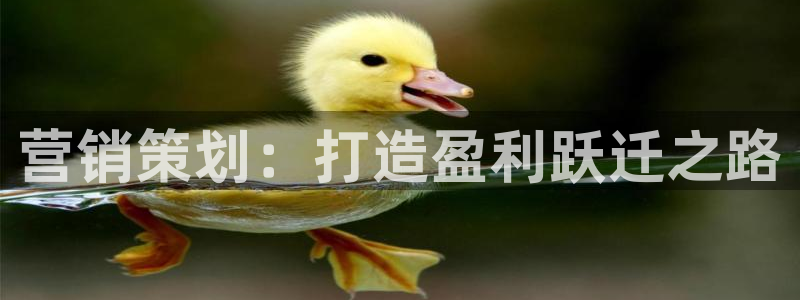 必赢下载安卓版下载
