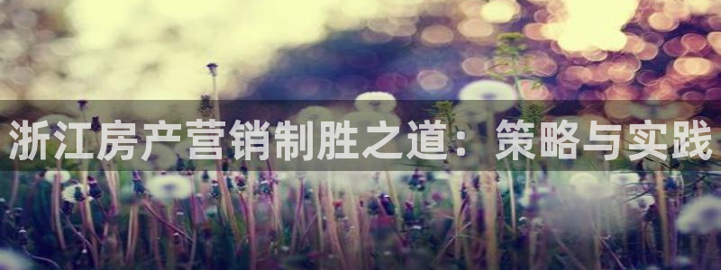 必赢网站平台登录