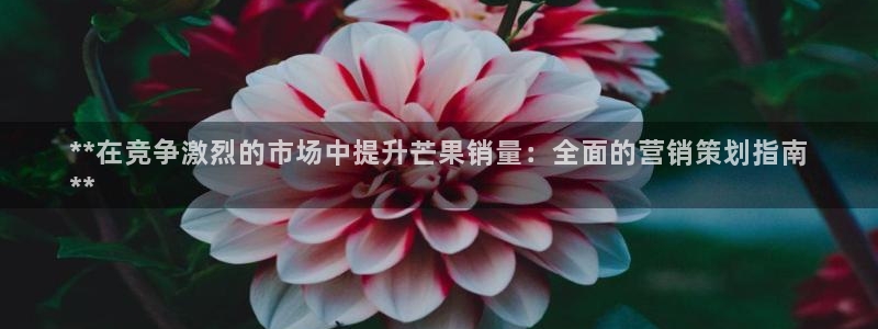 必赢网站是哪一个公司的