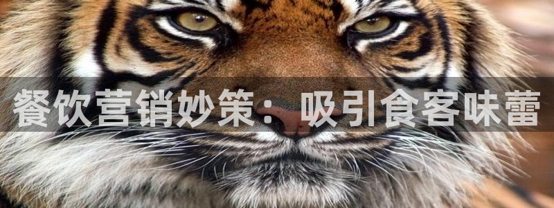 必赢app官方