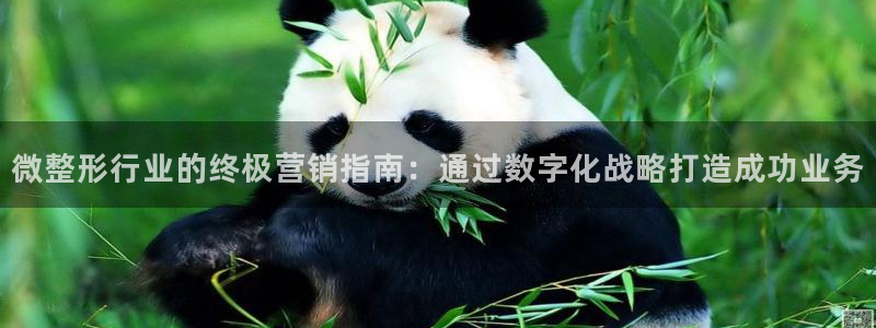 必赢手机app下载 最新版