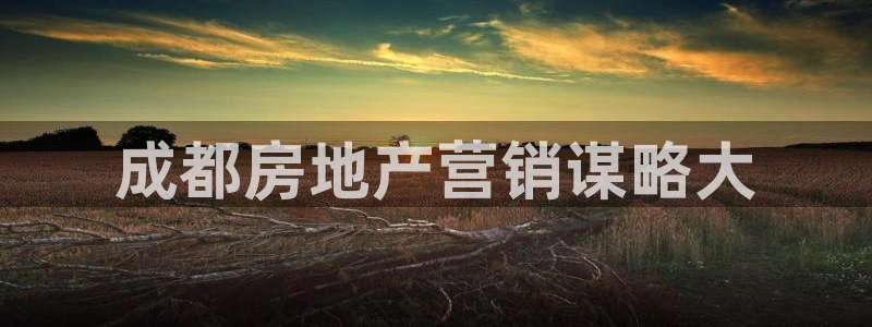 必赢72882网址