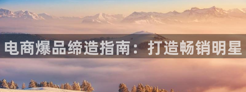 必赢网站是哪一个