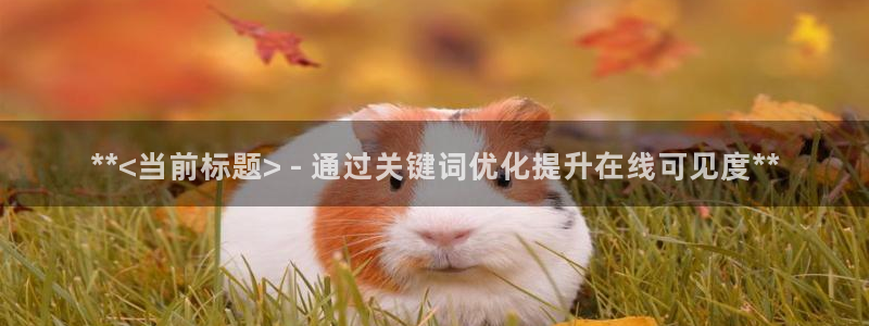 必赢app安卓版下载