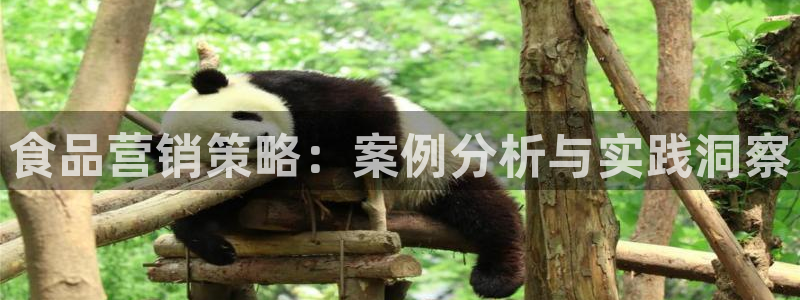 必赢国际437app下载